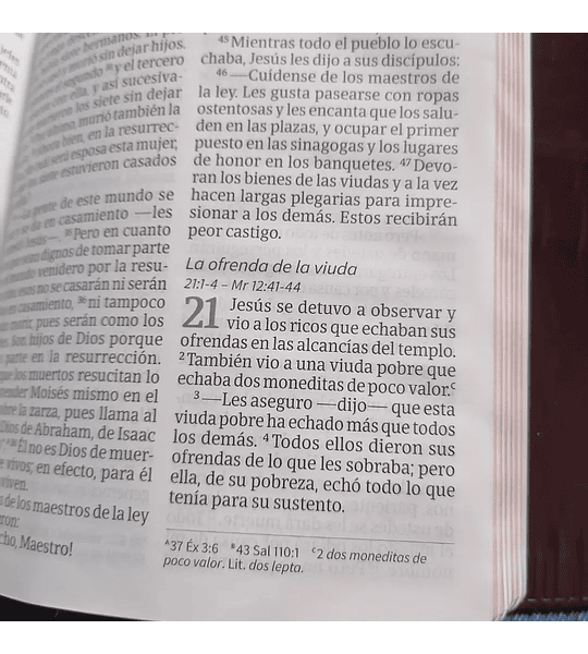 Biblia NVI Letra Grande Tamaño Manual Marrón Símil Piel con Solapa con Imán