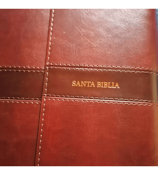 Biblia NVI Letra Grande Tamaño Manual Marrón Símil Piel con Solapa con Imán