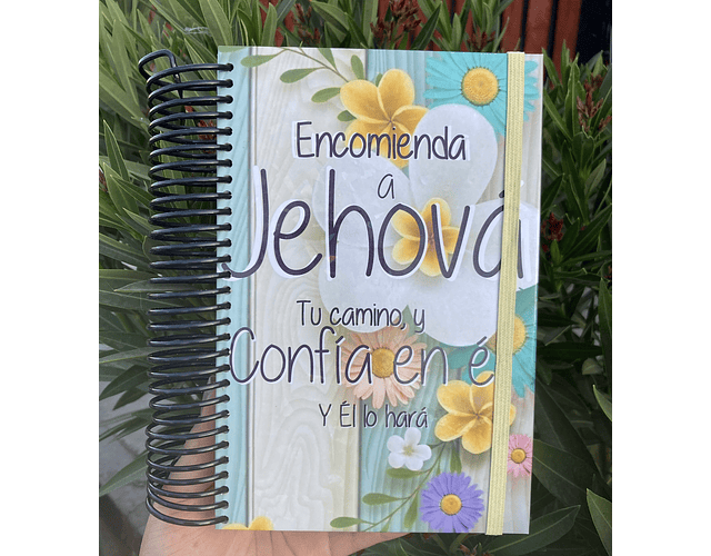 BIBLIA NTV MODELO 7