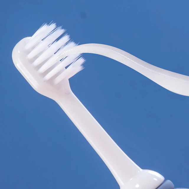 Cepillo Dientes 