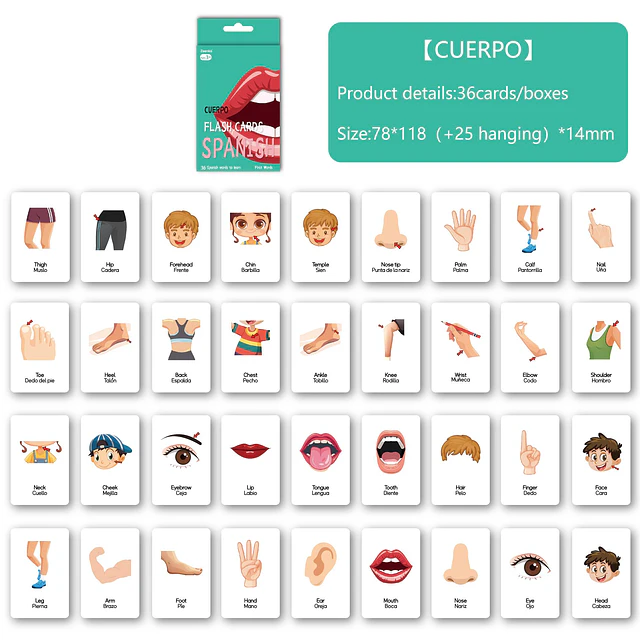 Tarjetas de vocabulario con imágenes Español e Inglés 