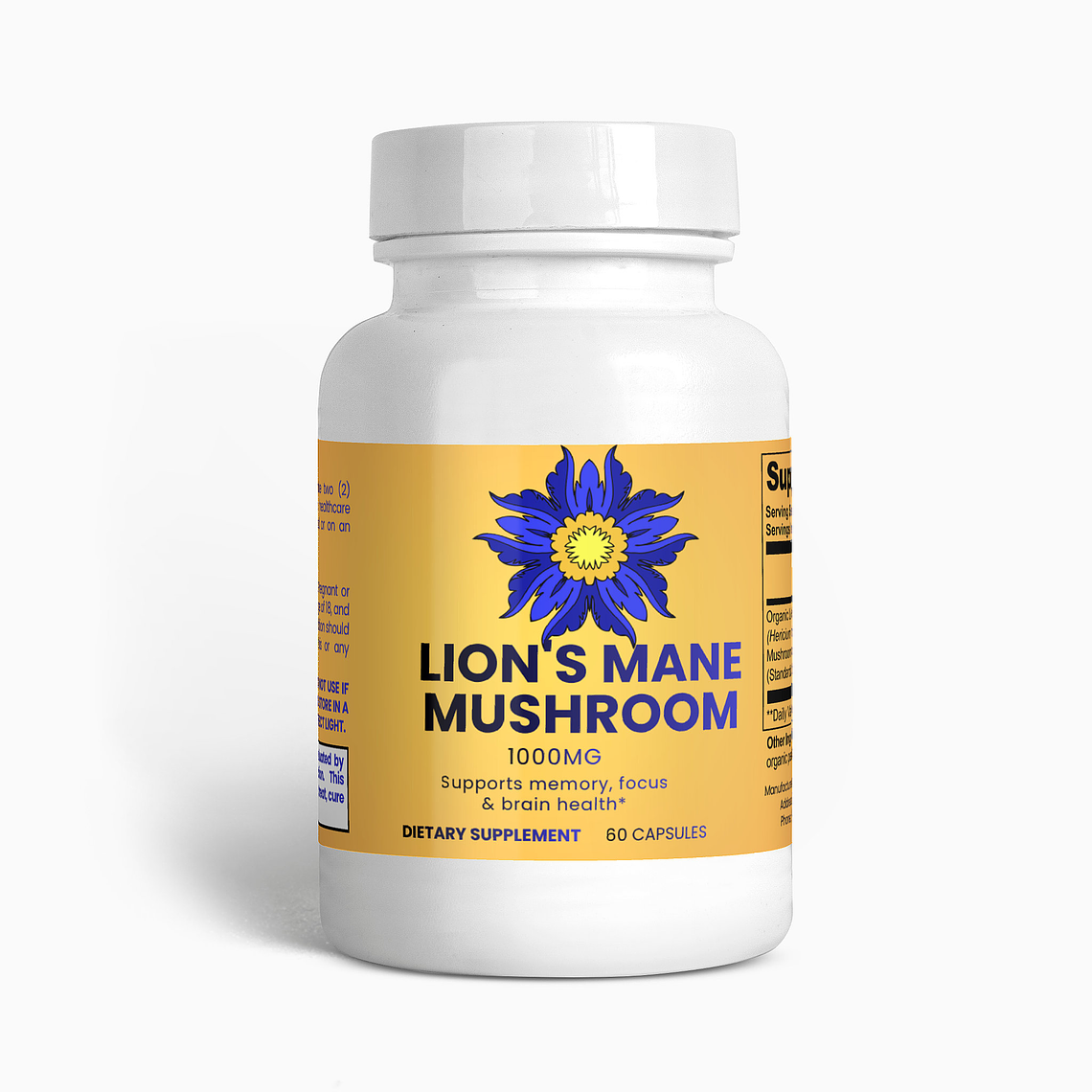 Lion's Mane Mushroom 1