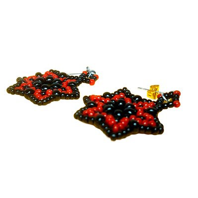 Aretes Estrella de Pasión