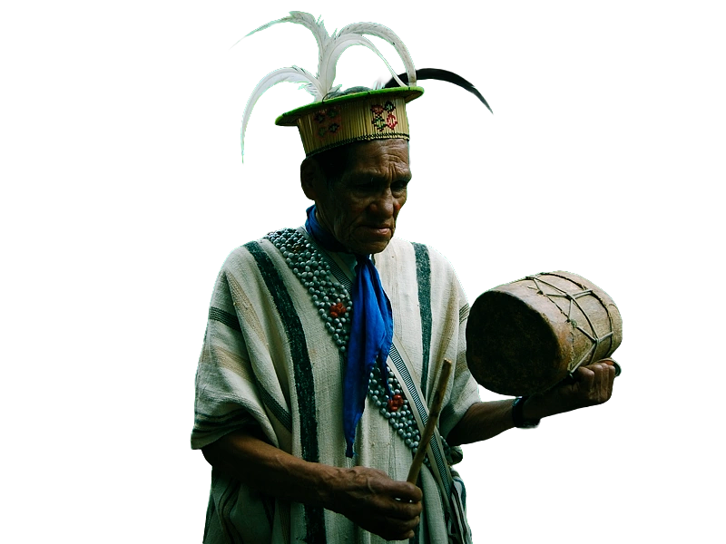 Cuando Don Francisco