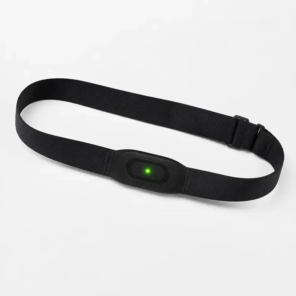 Sensor cardíaco ChestTrack 1