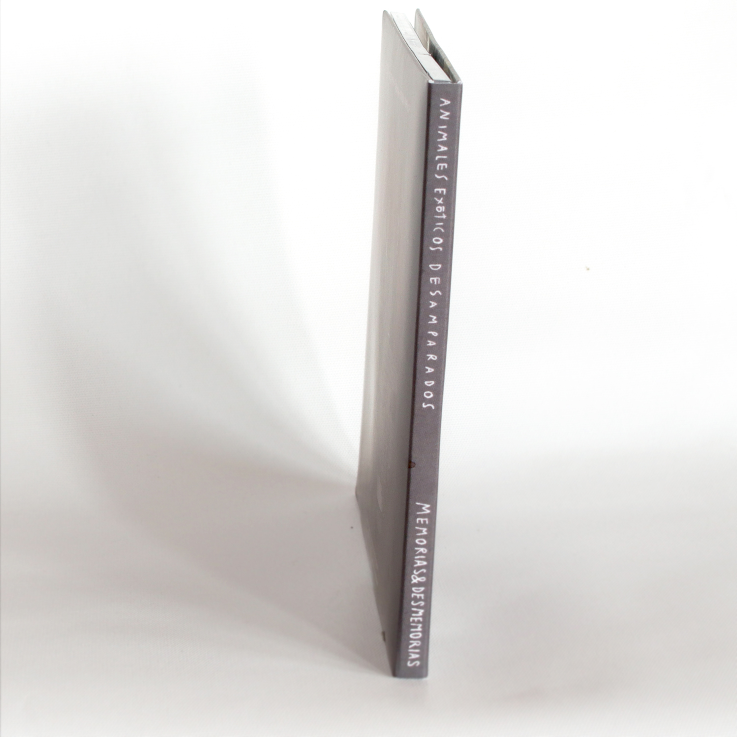 CD AED - Memorias & Desmemorias 3