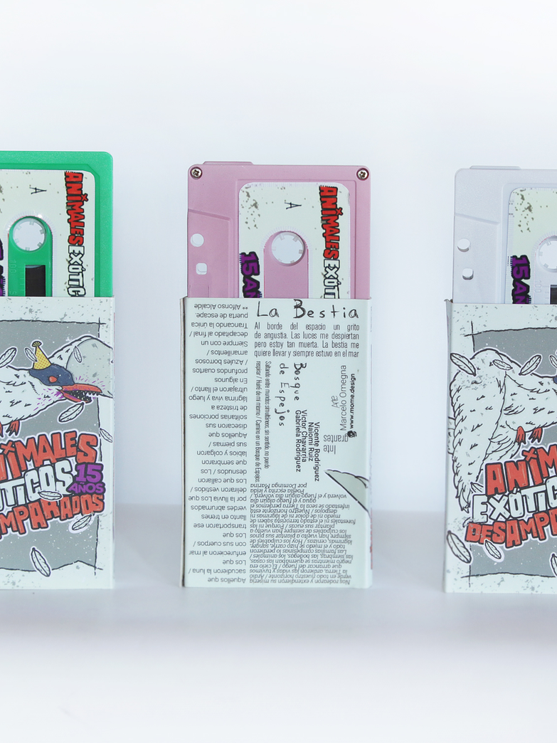 Cassette Blanco AED - 15 años 2