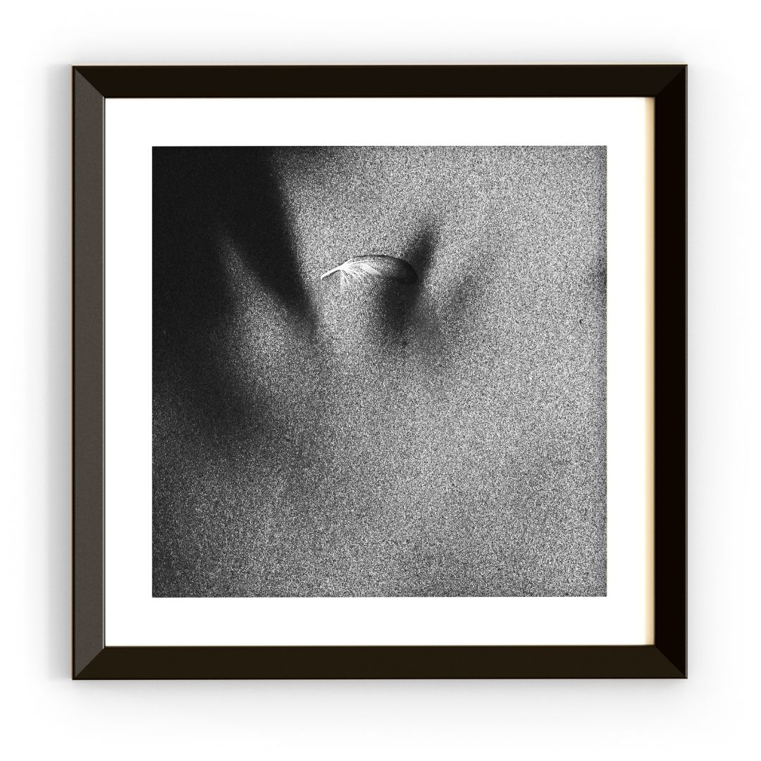 Fotografía Enmarcada 1