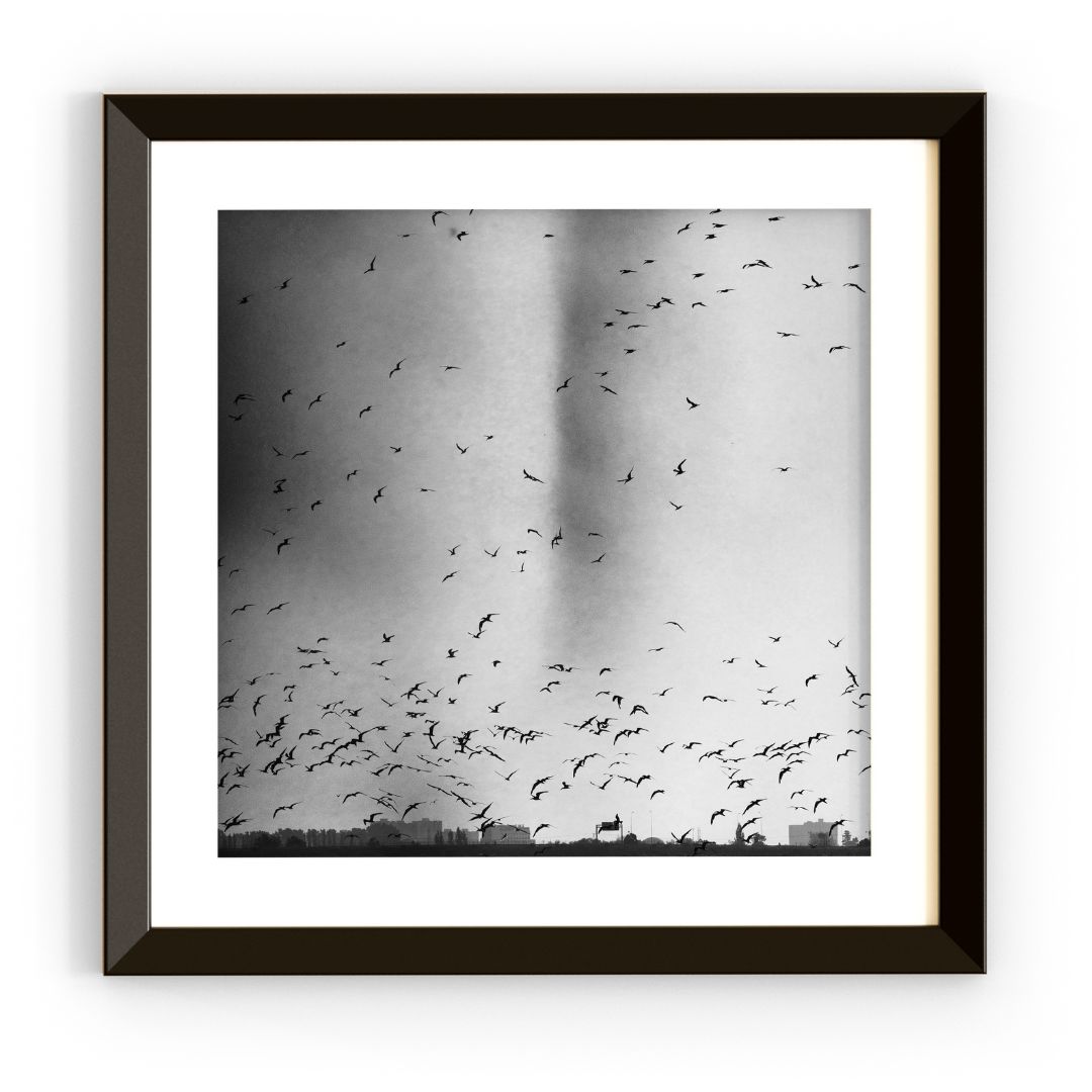 Fotografía Enmarcada 1