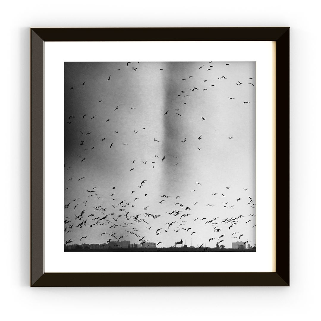 Fotografía Enmarcada 1