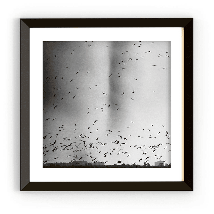 Fotografía Enmarcada 1