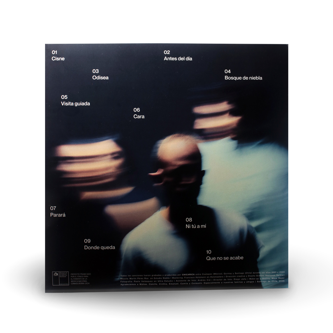 Vinilo Chicarica - Invierno en la Playa 2