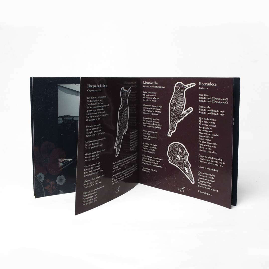 CD El Significado de las Flores - Tempus Fugit 5