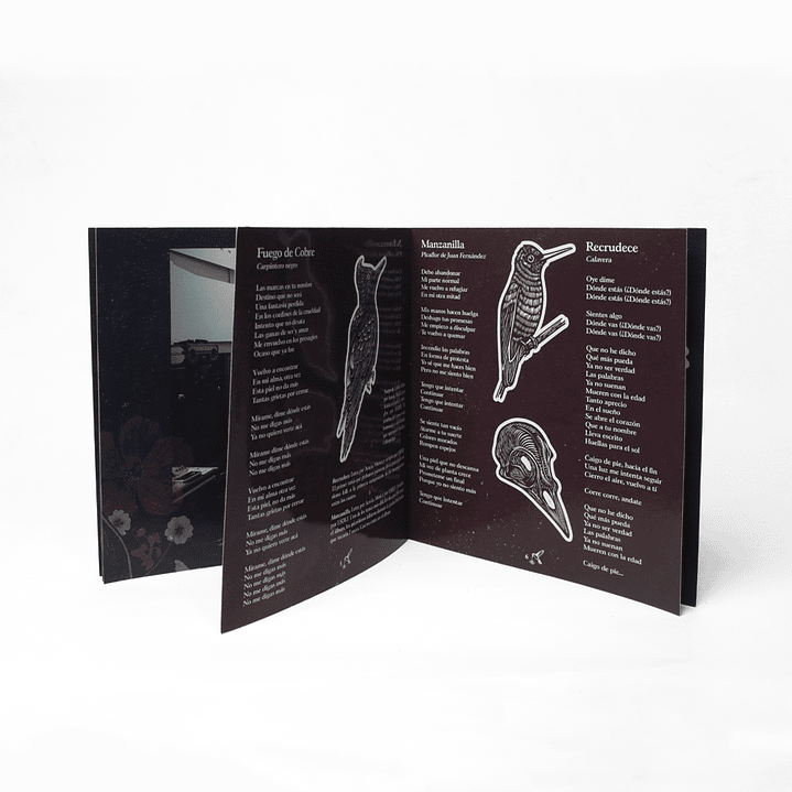 CD El Significado de las Flores - Tempus Fugit 5