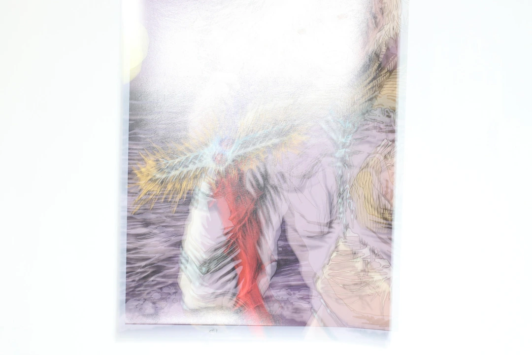 Print 48x33 cm 5