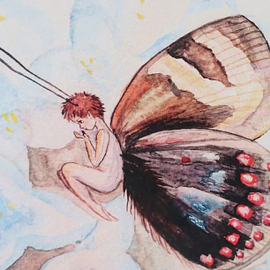 Mariposa