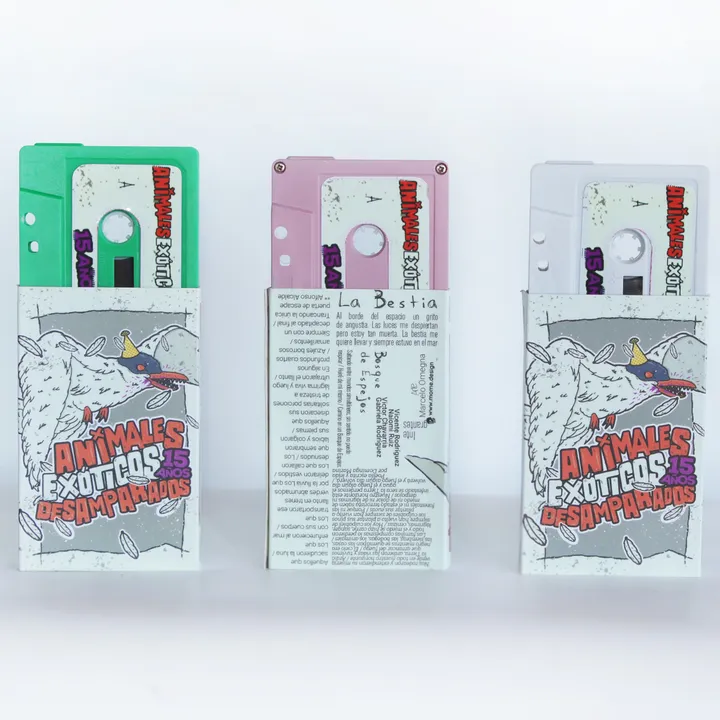 Cassette Blanco AED - 15 años 2