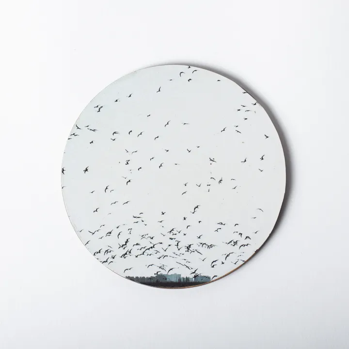 Posavasos 1