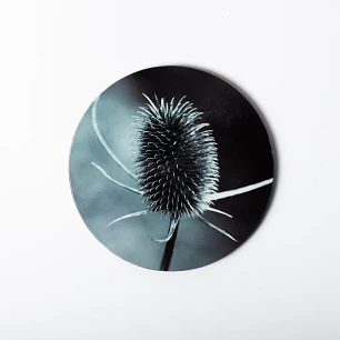 Posavasos