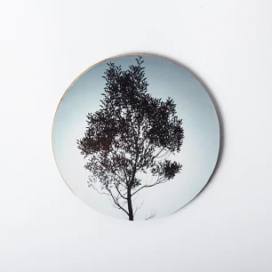 Posavasos