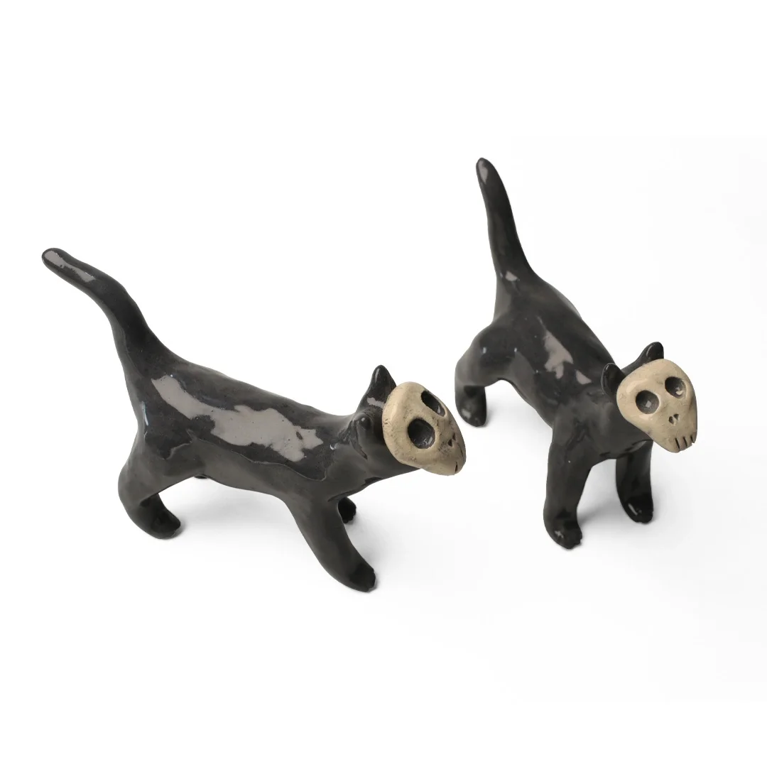 Gato calavera 2