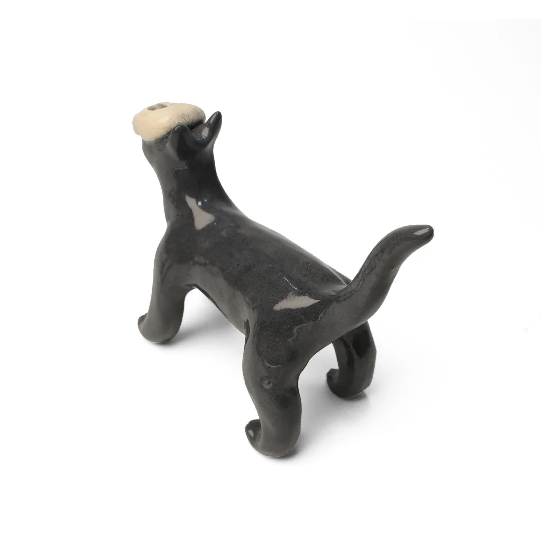 Gato calavera 3