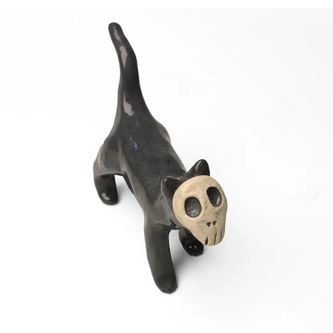 Gato calavera 1