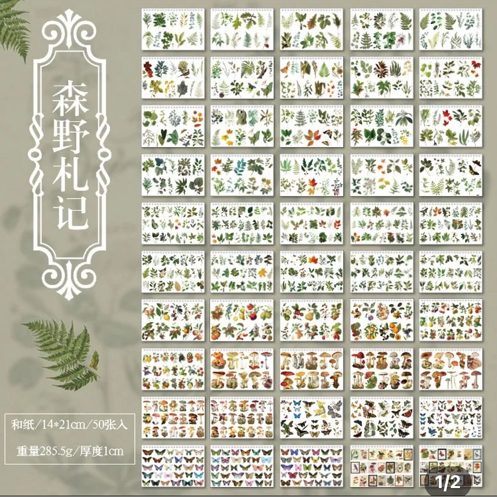 Libro de stickers botánicos