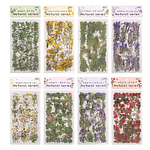 Stickers Natural Series 6 Láminas Botánicas