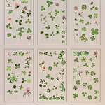 Stickers Natural Series 6 Láminas Botánicas