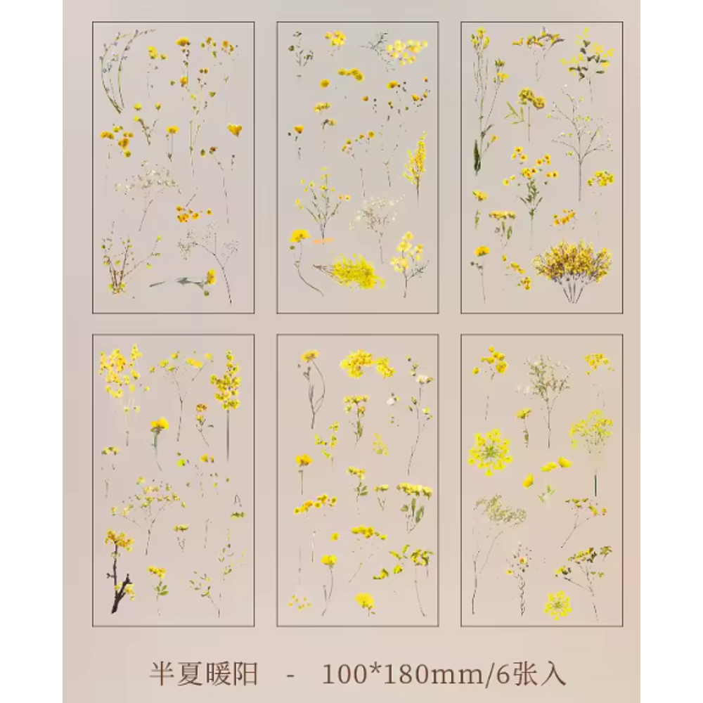 Stickers Natural Series 6 Láminas Botánicas