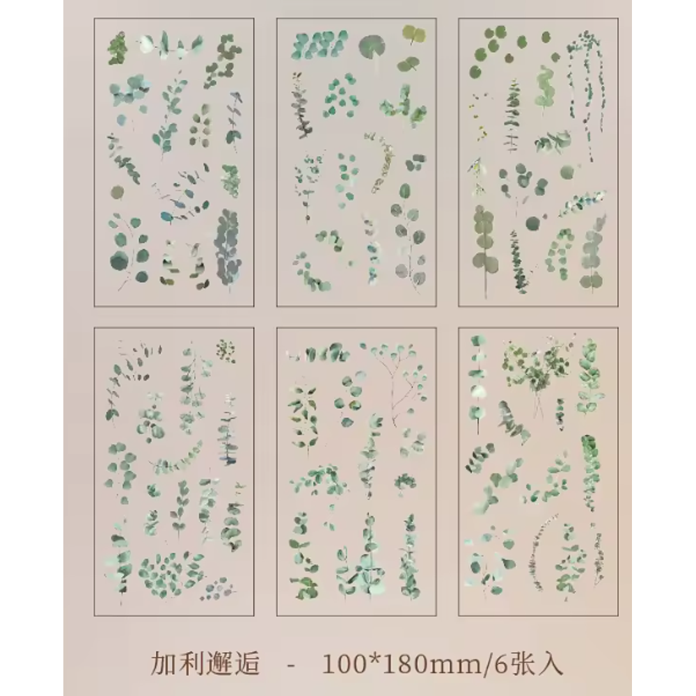 Stickers Natural Series 6 Láminas Botánicas