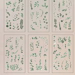 Stickers Natural Series 6 Láminas Botánicas