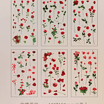 Stickers Natural Series 6 Láminas Botánicas