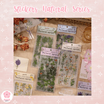 Stickers Natural Series 6 Láminas Botánicas