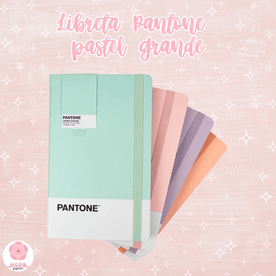 Libreta Pantone Grande Con Elástico