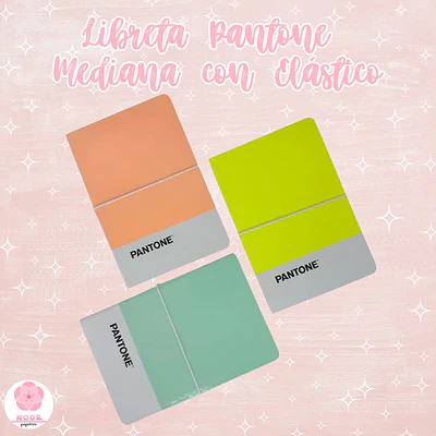 Libreta Pantone Mediana con Elástico