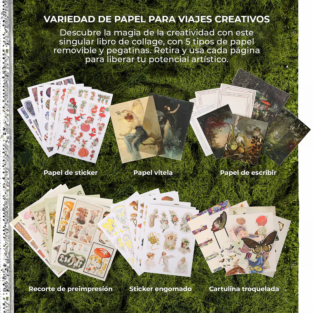 Libro de Collage The Botanical Muse