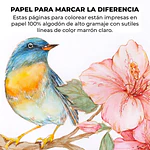 Libro para Colorear de Acuarela Grabie 100% Algodón