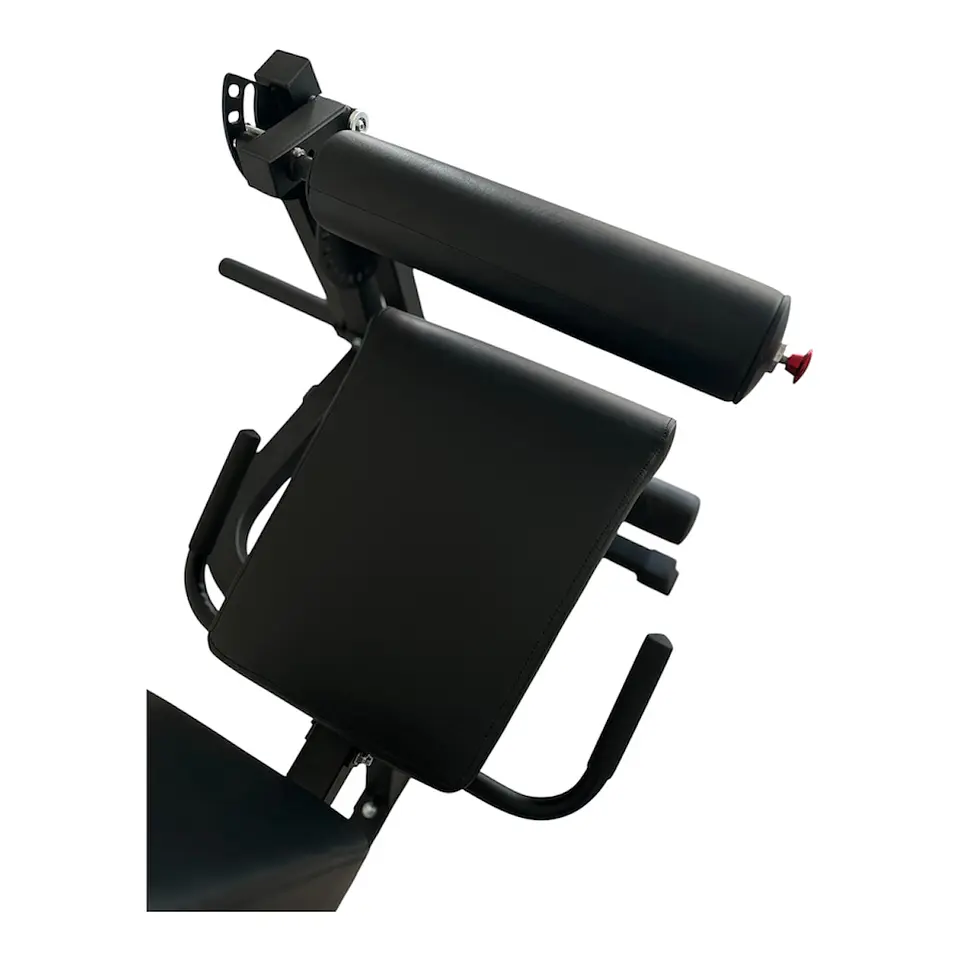 Máquina Dual Extensión de Cuádriceps y Femoral 9