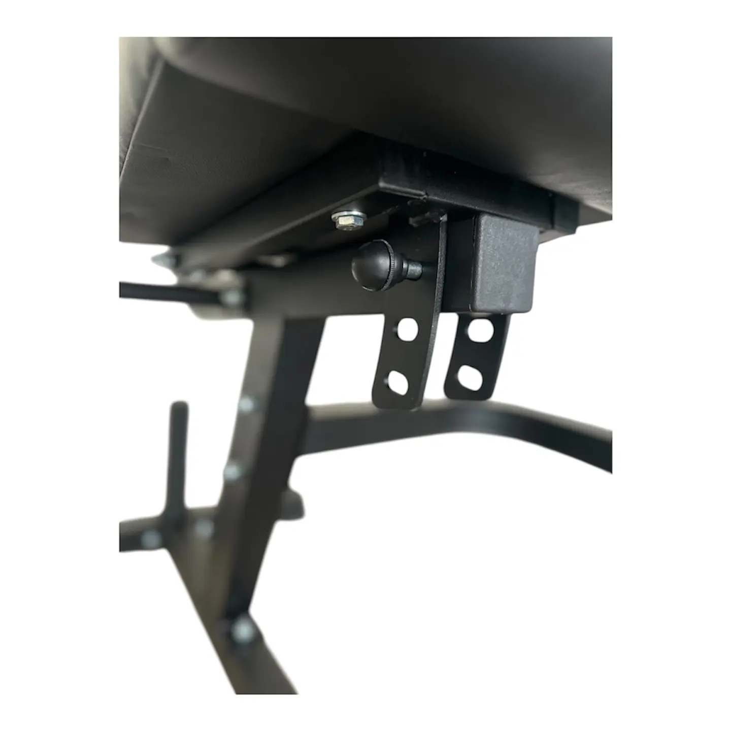 Máquina Dual Extensión de Cuádriceps y Femoral 11