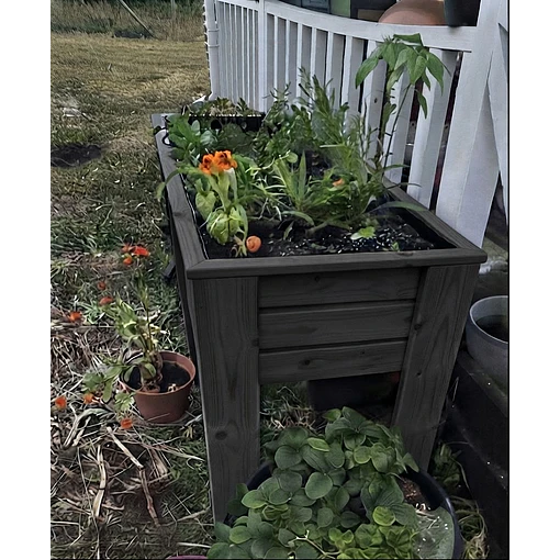Cama de cultivo