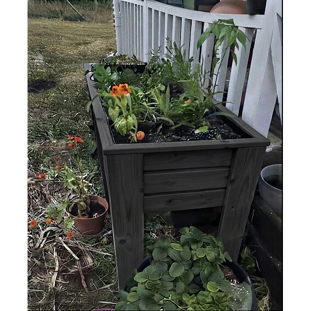 Cama de cultivo 1