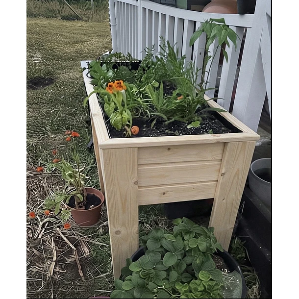 Cama de cultivo 2