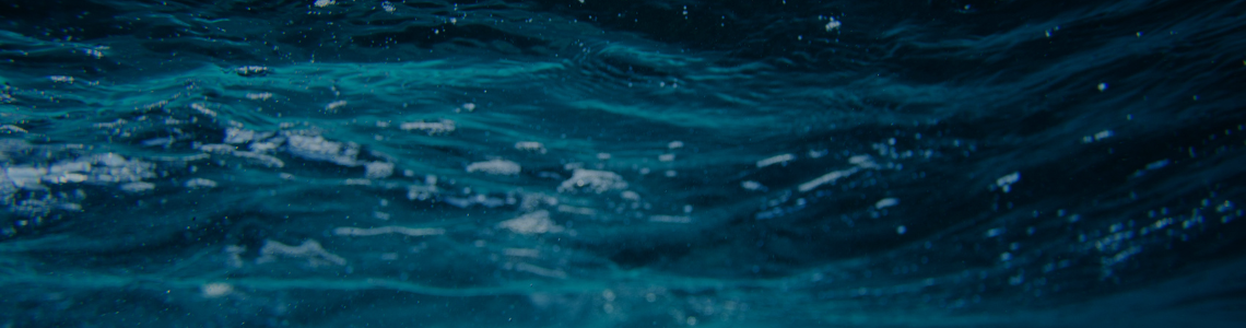 Tipos de Agua: Agua Purificada y Agua Alcalina 