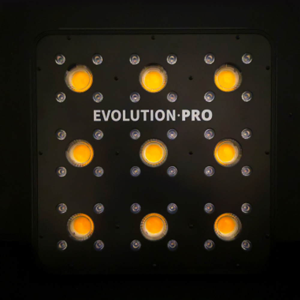 APOLLO EVOLUTION PRO 9 300W