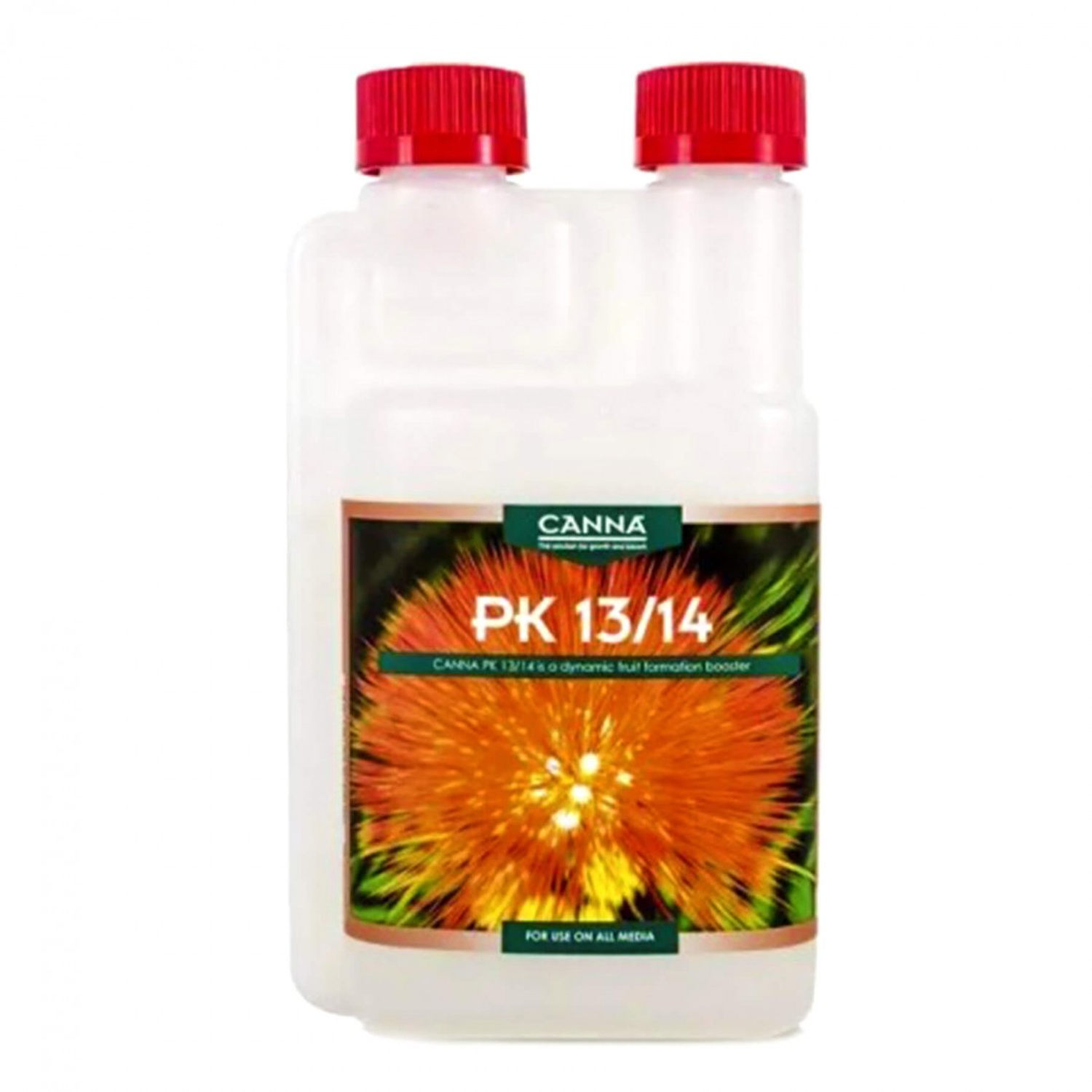 Pk 13/14 - Canna 1