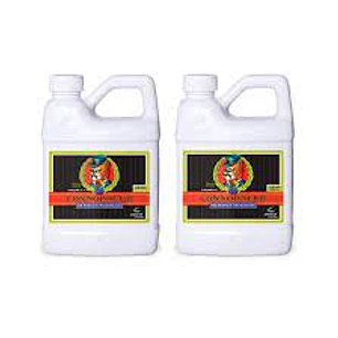 🌱 Connoisseur Grow A+B Advanced Nutrients – Fertilizante Base para Crecimiento con pH Perfect