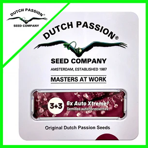 Auto Xtreme Auto 3+3 – potencia Haze en autofloreciente 🌿⚡ - Dutch Passion