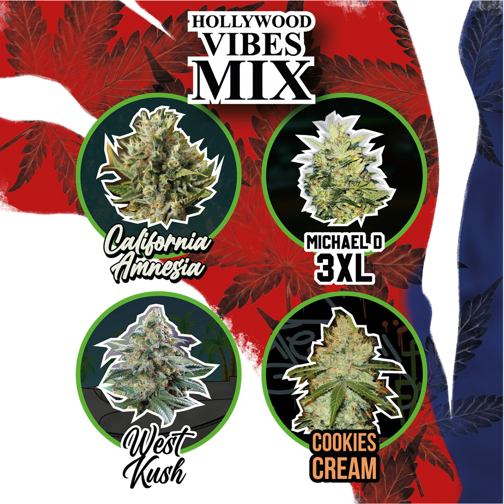 Delirium Seeds Mix Hollywood Vibe Auto X8